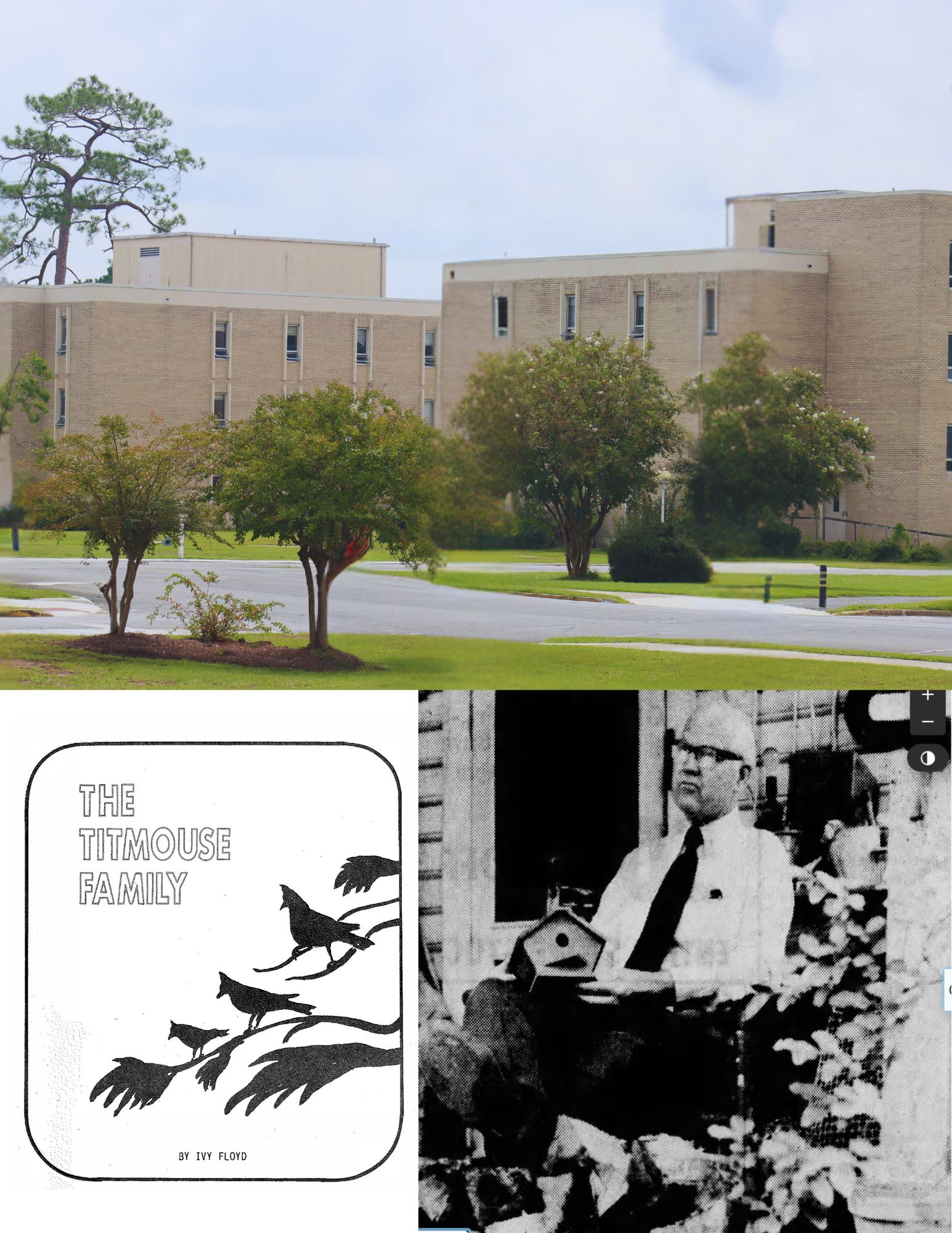 picture of building at the top and a man sitting in a chair with a birdhouse